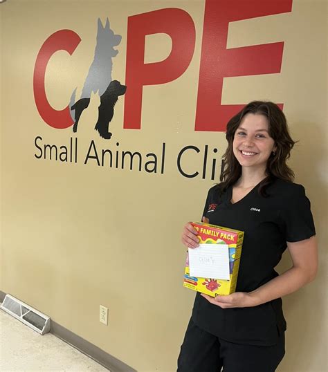 Caring for Your Furry Friends: Cape Small Animal Clinic - Top Veterinary Care in Cape Town