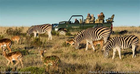 Cape Town Game Reserves