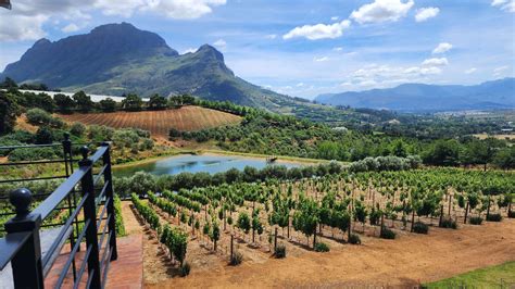 Cape Town wineries