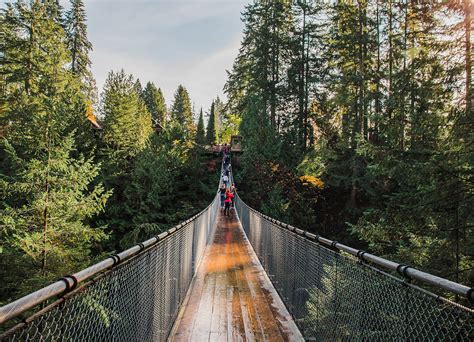 Capilano Suspension Bridge, British Columbia