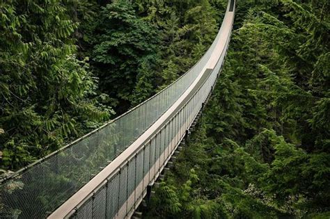 Capilano Bridge Guided Tour