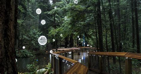 Capilano Bridge Thrill