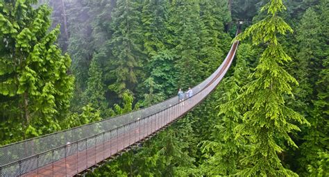Capilano Bridge Travel Feedback