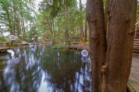Capilano Ecosystem Education