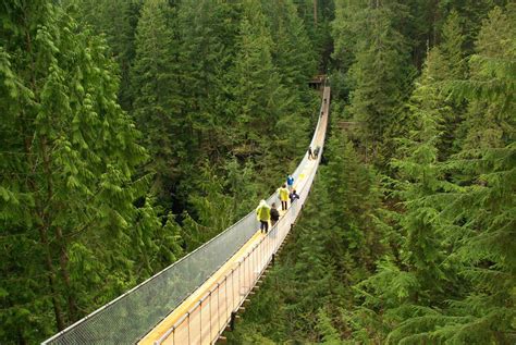 Capilano Suspension Bridge Activities