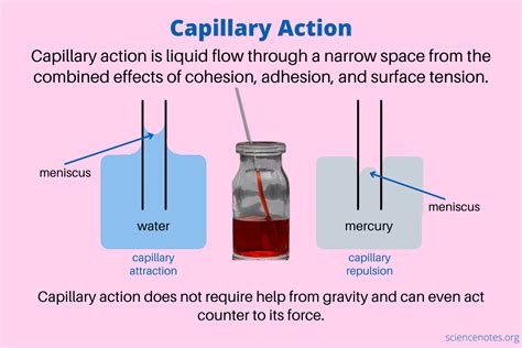 The Marvels of Capillary Action: Understanding the Definition and Chemistry Behind It