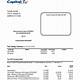 Capital One Bank Statement Template