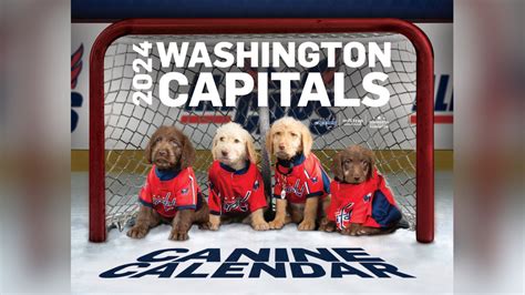 Capitals Canine Calendar 2024