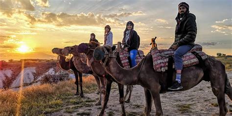Cappadocia Camel Ride Essentials
