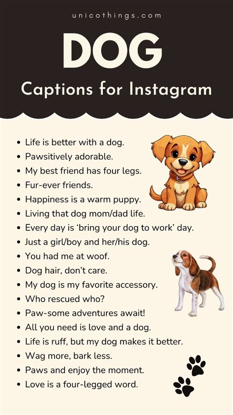 Caption For Funny Dog