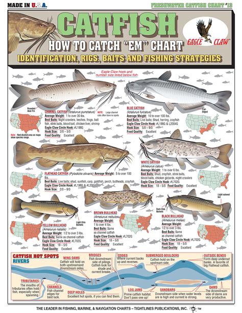 Captree Fishing Types of Fish to Catch