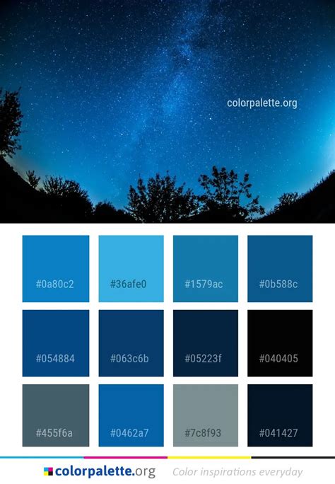 Capturing the Atmosphere: Color Palettes