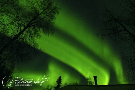 Capturing the Aurora: quick tips from leading photographers