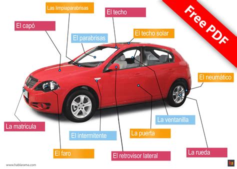 Car In Spanish