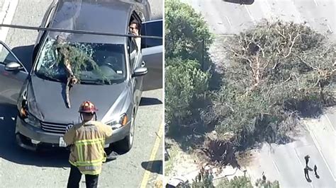 Car Window Damage Santa Ana