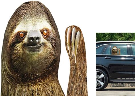 Car Window Decals Sloth