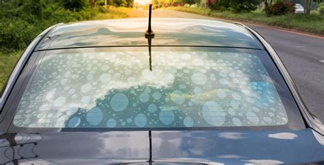 Car Window Repair Signs