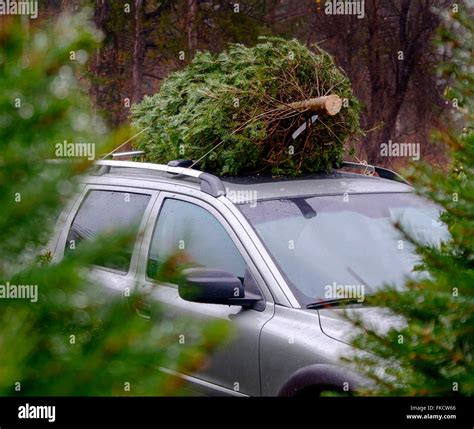 Car With Christmas Tree On Top