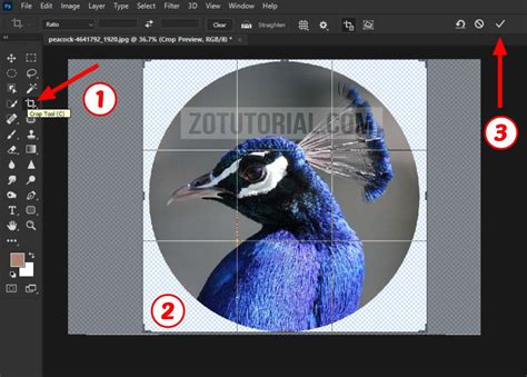 Cara Crop Gambar Di Photoshop