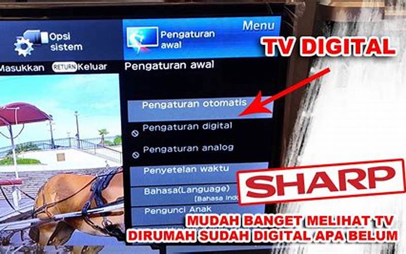 Cara Melihat Tampilan Di Tv Sharp Digital
