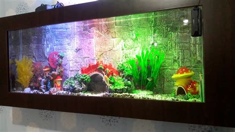 Cara Membuat Aquarium Dinding