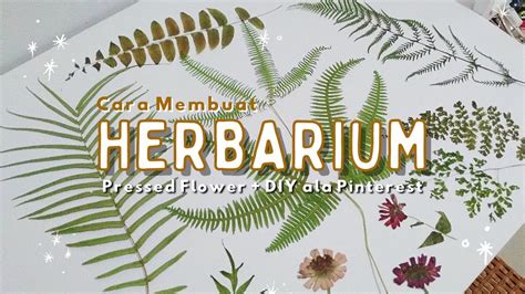 Cara Membuat Herbarium Tumbuhan Paku