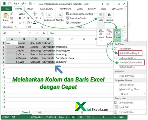 Cara Membuat Kolom Di Excel Sama Besar