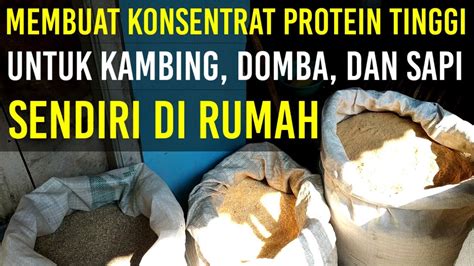 Cara Membuat Konsentrat