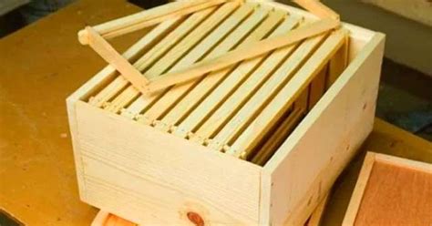 Cara Membuat Kotak Lebah Madu