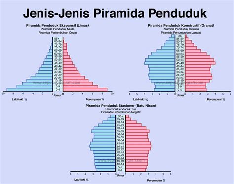 Cara Membuat Piramida Penduduk