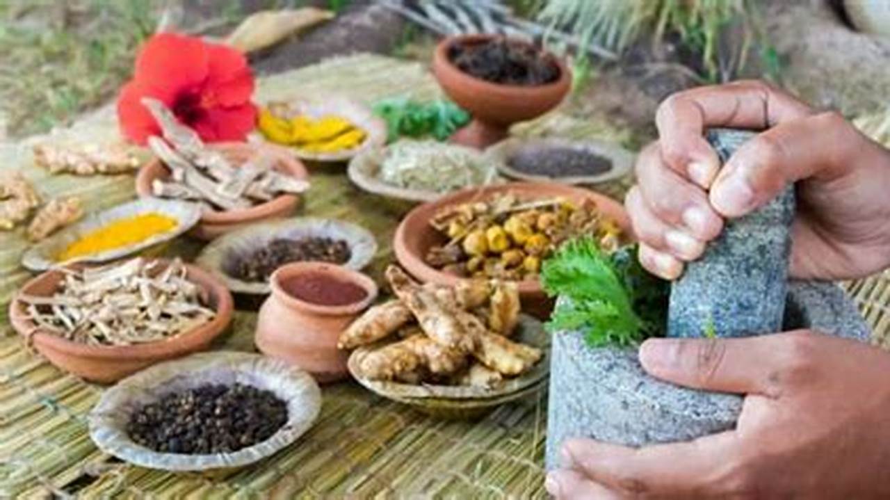 Cara Membuat Ramuan Herbal Dari Tanaman Tanaman Sisik Naga