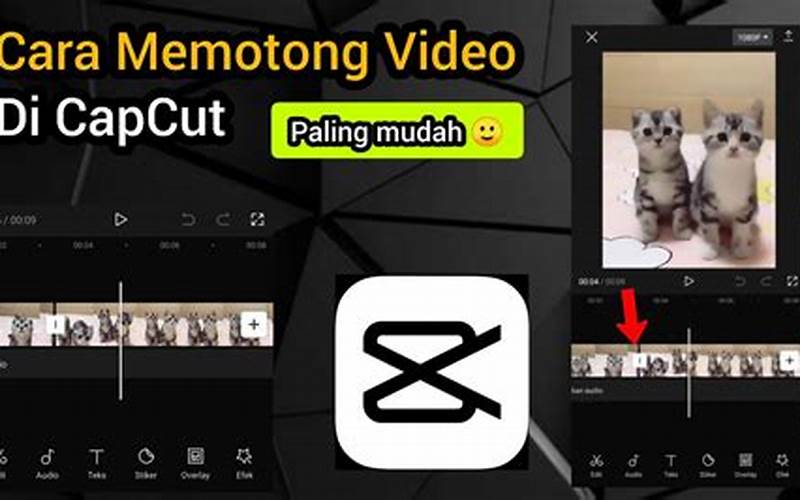 Cara Memotong Video
