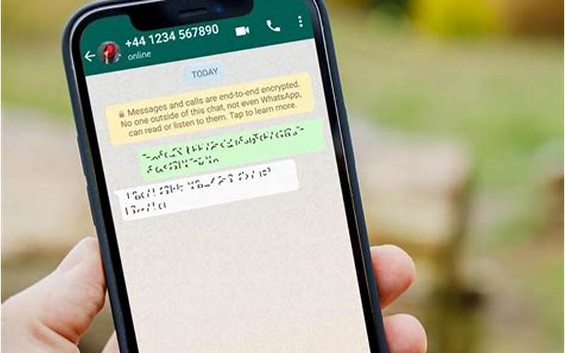 Cara Mengembalikan Chat Whatsapp Yang Terhapus Dengan Aplikasi Terbaru Dan Mudah