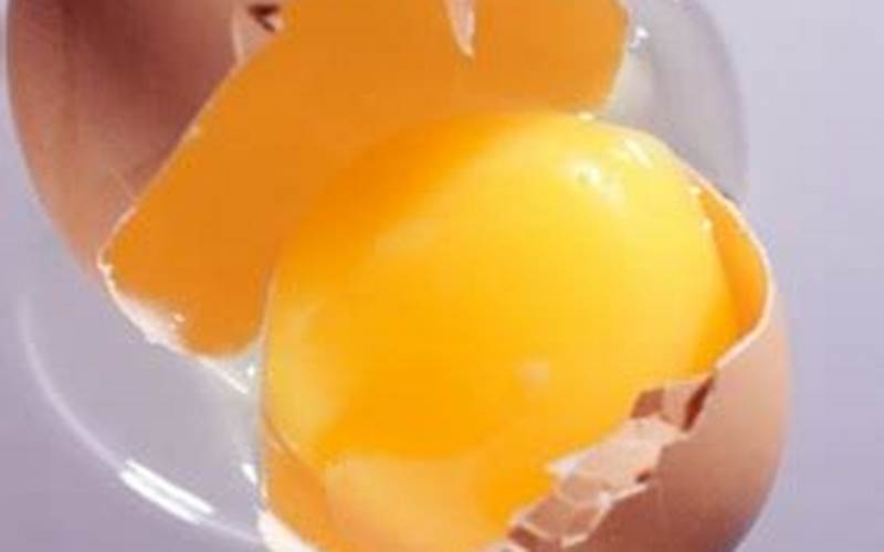 Cara Menghilangkan Jerawat Dengan Kuning Telur