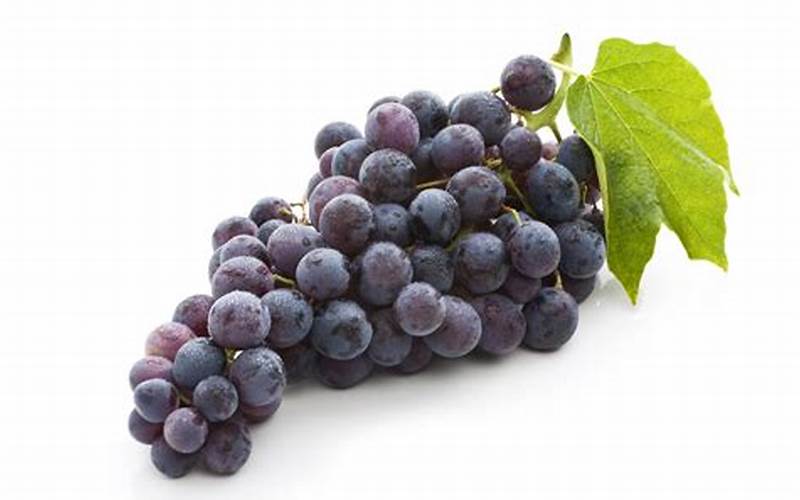 Cara Mengkonsumsi Anggur Ungu