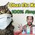 Cara Mengobati Flu Pada Bayi Kucing