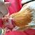 Cara Mengobati Pilek Pada Anak Ayam