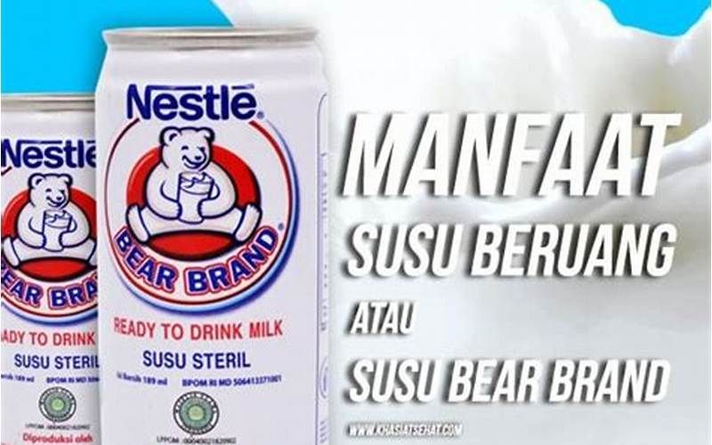 Cara Mengonsumsi Bear Brand Untuk Ibu Menyusui