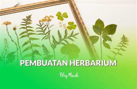 Cara Pembuatan Herbarium