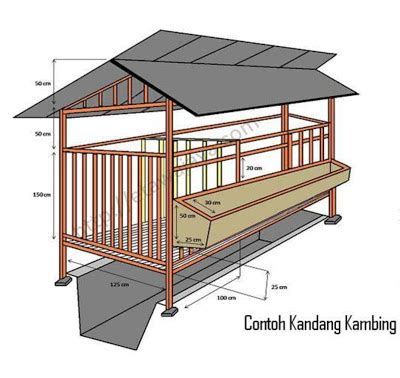 Cara membuat kandang kambing