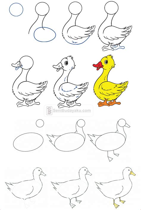 Cara Mudah Membuat Gambar Bebek Lucu dan Menggemaskan