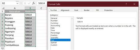 Cara Memformat Sel di Excel