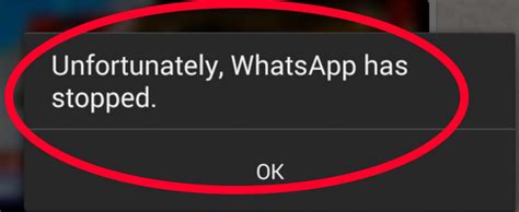 Cara Memperbaiki Error di WhatsApp
