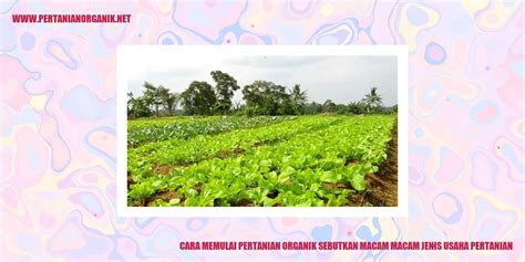 Cara Memulai Usaha Pertanian Organik Taman Inspirasi SAFA