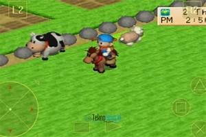 Cara Mendapatkan Kuda di Harvest Moon: Semua yang Perlu Kamu Tahu
