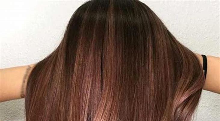Cara Mendapatkan Warna Rambut Chestnut