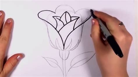 Cara Menggambar Bunga Mawar Simple