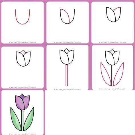 Cara Menggambar Bunga Tulip