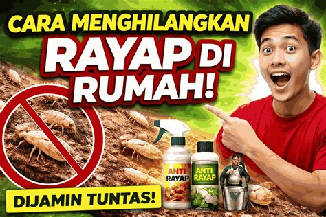 Cara Menghilangkan Rayap