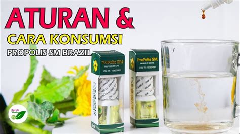 Cara Pakai Propolis SM Brazil